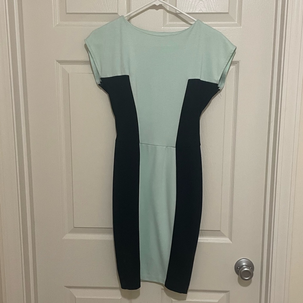 Worn one time. BarIII black and green dress.